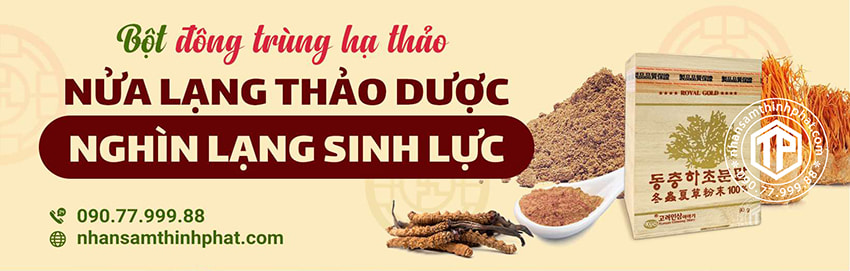Bột đông trùng hạ thảo - Nửa lạng thảo dược, nghìn lạng sinh lực Bột đông trùng hạ thảo - Nửa lạng thảo dược, nghìn lạng sinh lực