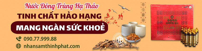 Nước đông trùng hạ thảo - Tinh chất hảo hạng mang ngàn sức khỏe Nước đông trùng hạ thảo - Tinh chất hảo hạng mang ngàn sức khỏe