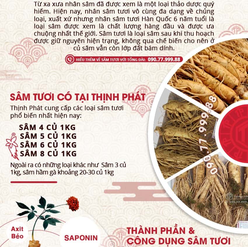 Giới thiệu công dụng, cách sử dụng sâm tươi Hàn Quốc Giới thiệu công dụng, cách sử dụng sâm tươi Hàn Quốc