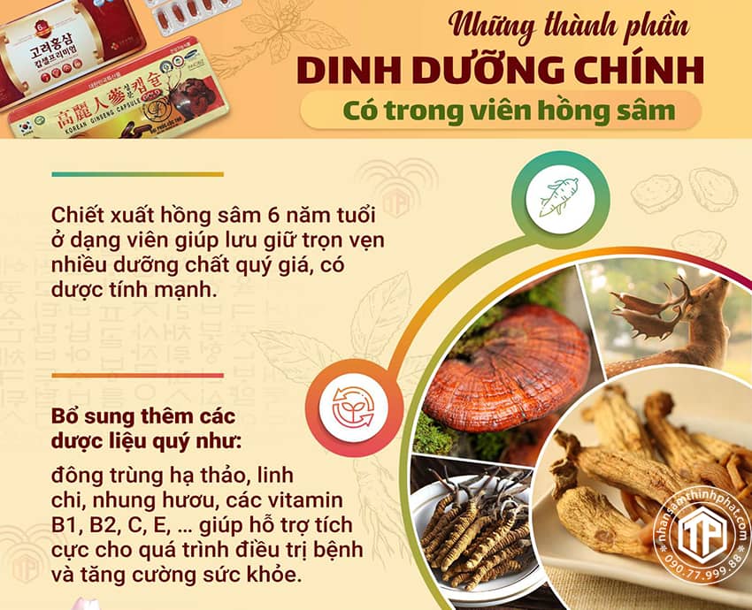 Những thành phần dinh dưỡng chính có trong viên hồng sâm Những thành phần dinh dưỡng chính có trong viên hồng sâm