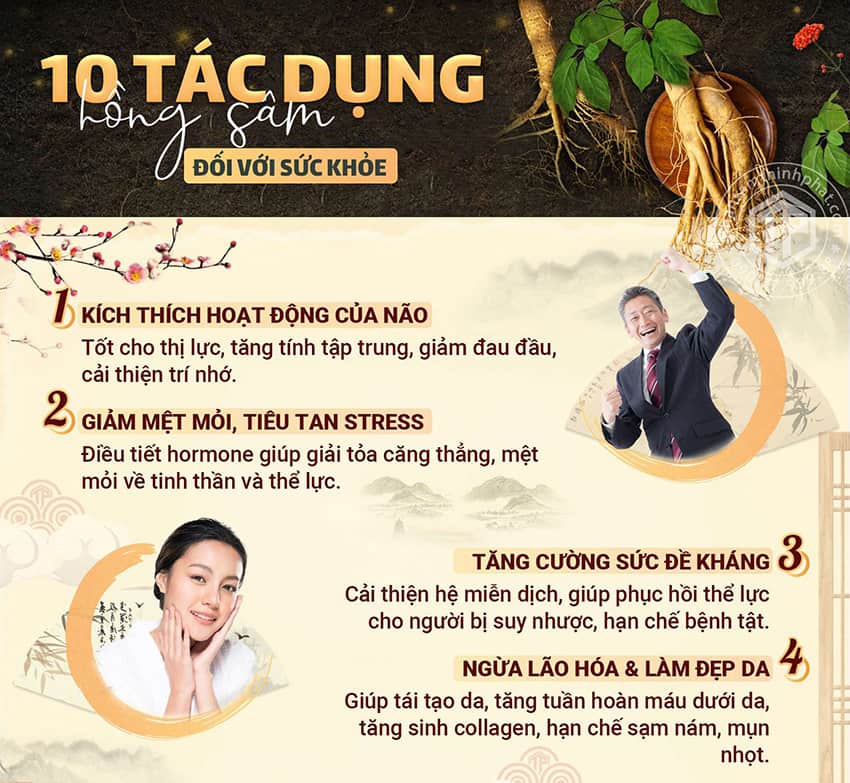 10 tác dụng của hồng sâm đối với sức khỏe 10 tác dụng của hồng sâm đối với sức khỏe