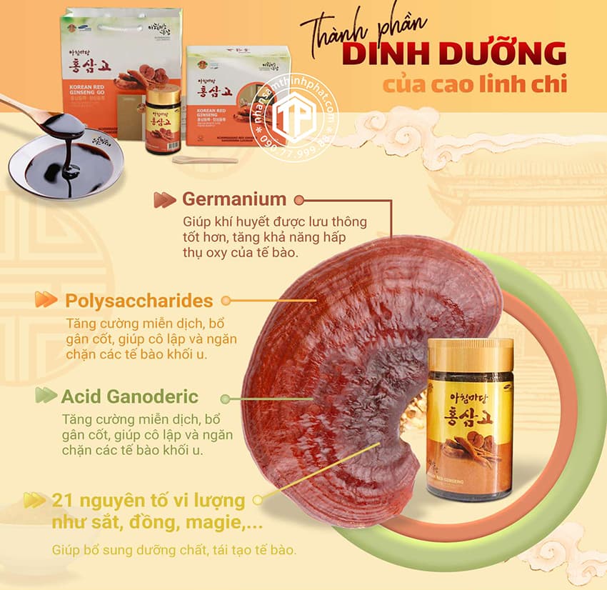 Thành phần của cao linh chi Hàn Quốc Thành phần của cao linh chi Hàn Quốc