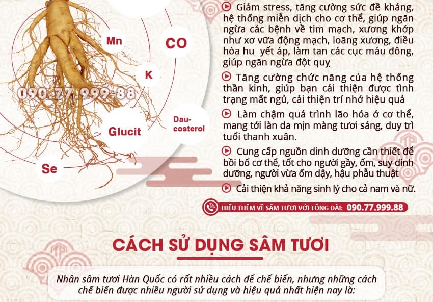 Giới thiệu công dụng, cách sử dụng sâm tươi Hàn Quốc Giới thiệu công dụng, cách sử dụng sâm tươi Hàn Quốc