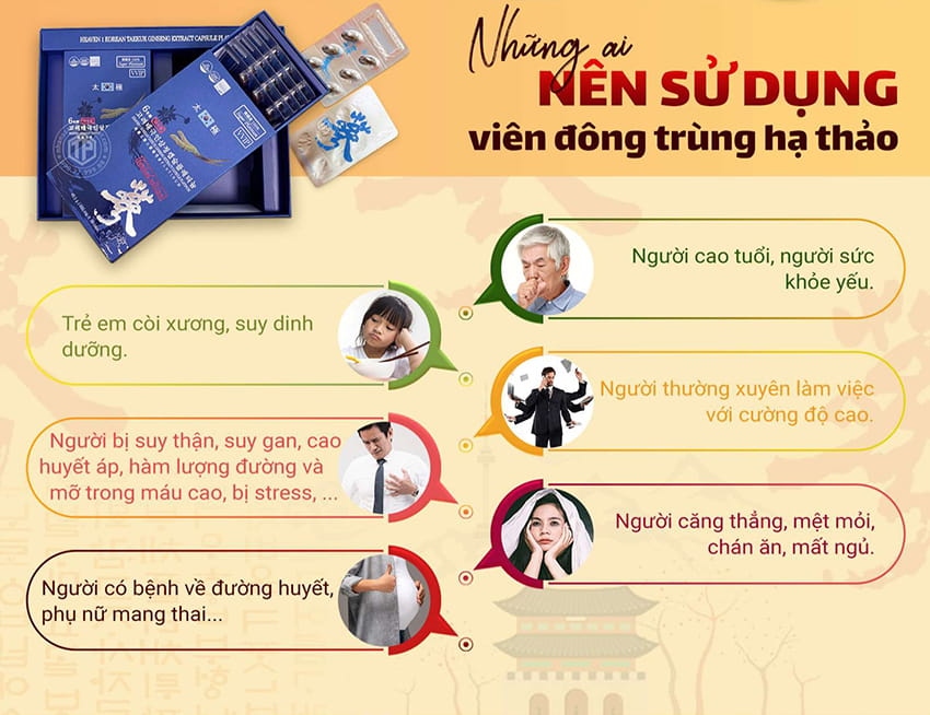 Những ai nên sử dụng viên đông trùng hạ thảo