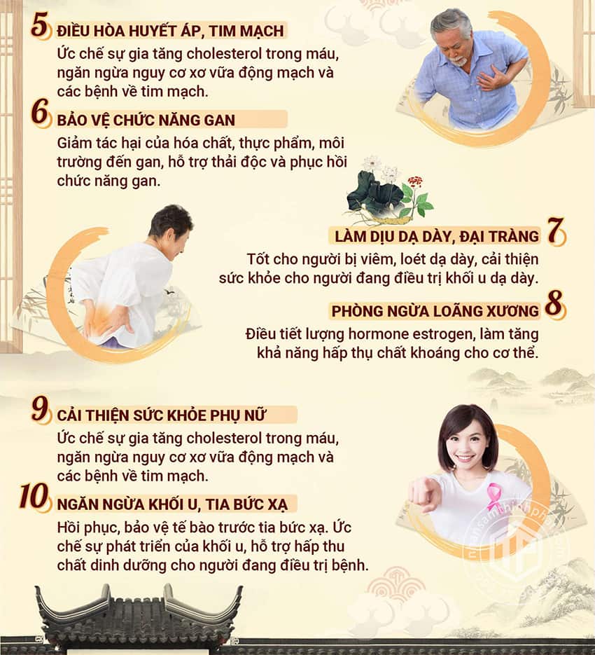 10 tác dụng của hồng sâm đối với sức khỏe 10 tác dụng của hồng sâm đối với sức khỏe