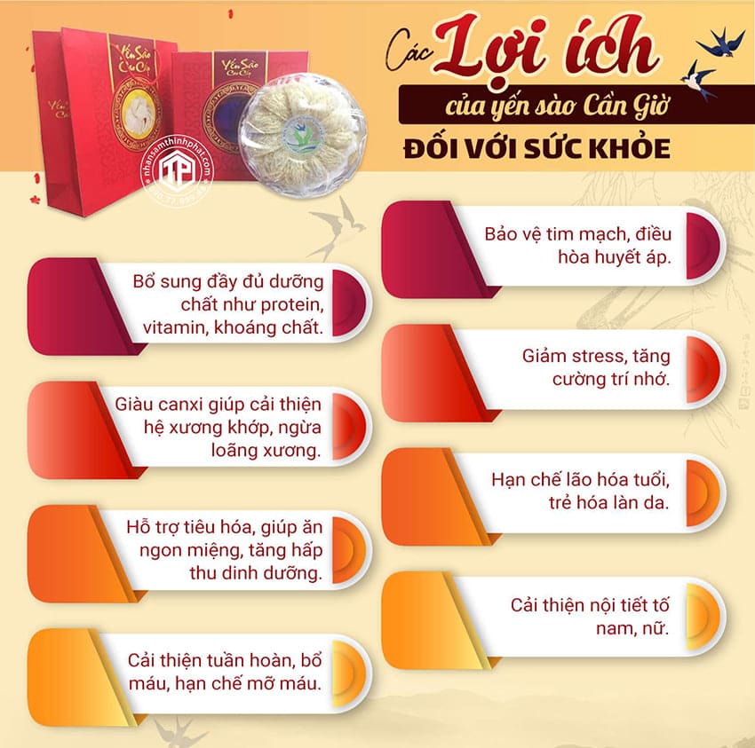 Các Lợi Ích Của Yến Sào Cần Giờ Đối Với Sức Khỏe Các Lợi Ích Của Yến Sào Cần Giờ Đối Với Sức Khỏe