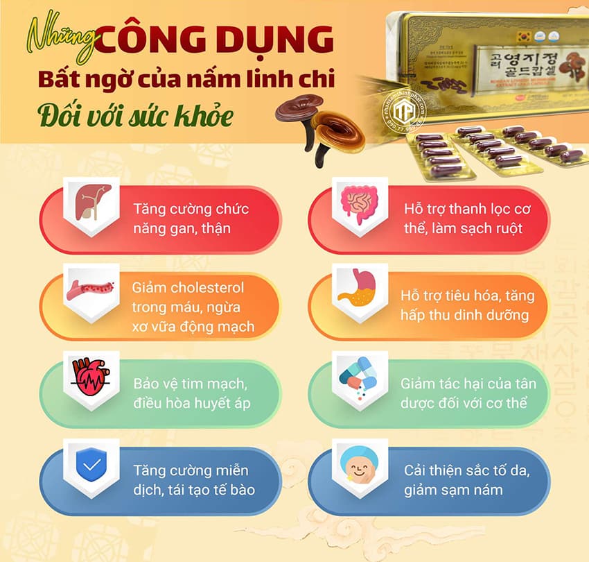Những Công Dụng Bất Ngờ Của Viên Linh Chi Hàn Quốc Đối Với Sức Khỏe Những Công Dụng Bất Ngờ Của Viên Linh Chi Hàn Quốc Đối Với Sức Khỏe