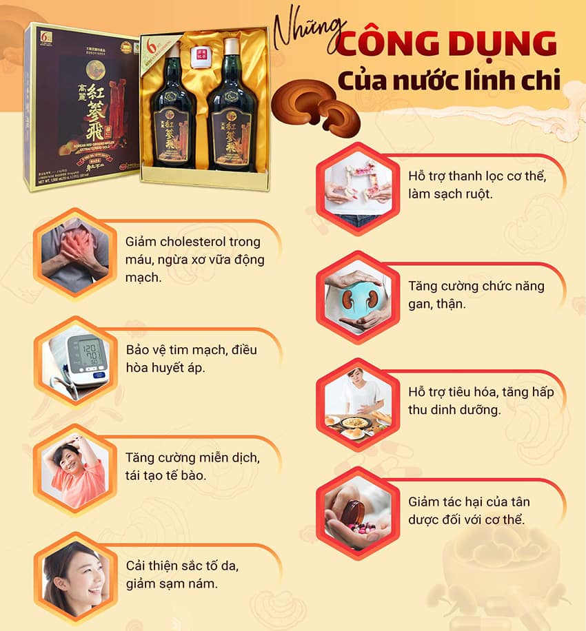 Những Công Dụng Của Nước Linh Chi Hàn Quốc Những Công Dụng Của Nước Linh Chi Hàn Quốc