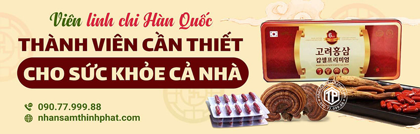 Viên linh chi Hàn Quốc - Thành viên cần thiết cho sức khỏe cả nhà Viên linh chi Hàn Quốc - Thành viên cần thiết cho sức khỏe cả nhà