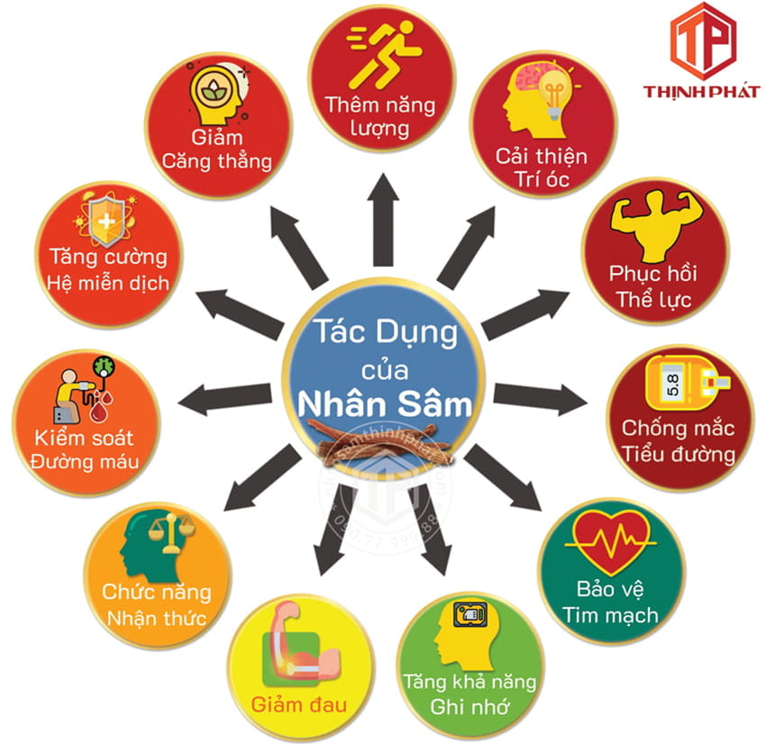 Tác dụng của nhân sâm