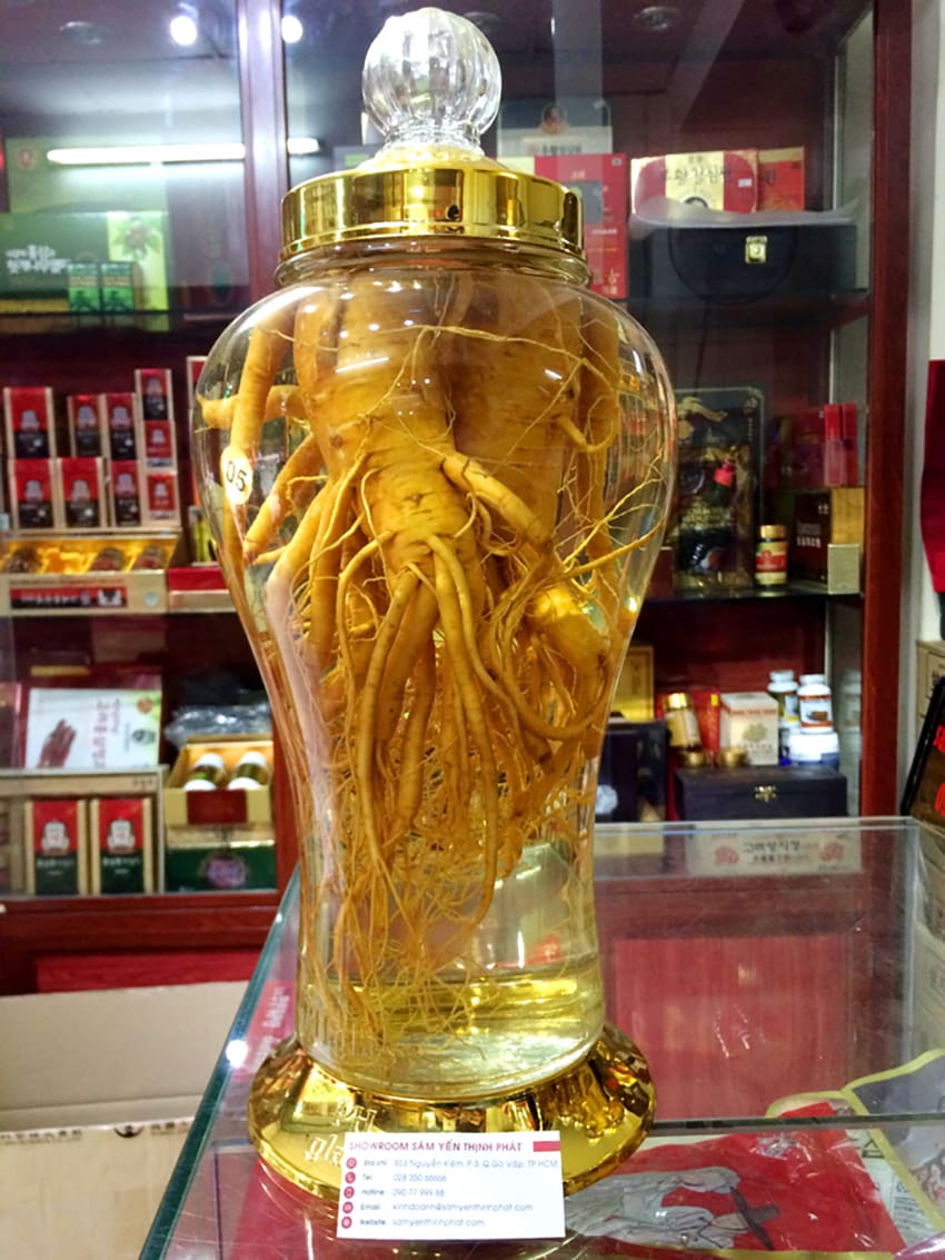 Bình Ngâm Nhân Sâm Hàn Quốc 5 Lít Bình Ngâm Nhân Sâm Hàn Quốc 5 Lít