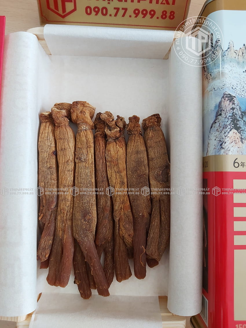 Thiên sâm chính phủ KGC Jung Kwan Jang thượng hạng Heaven 150g 20PCS 7 củ Thiên sâm chính phủ KGC Jung Kwan Jang thượng hạng Heaven 150g 20PCS 7 củ