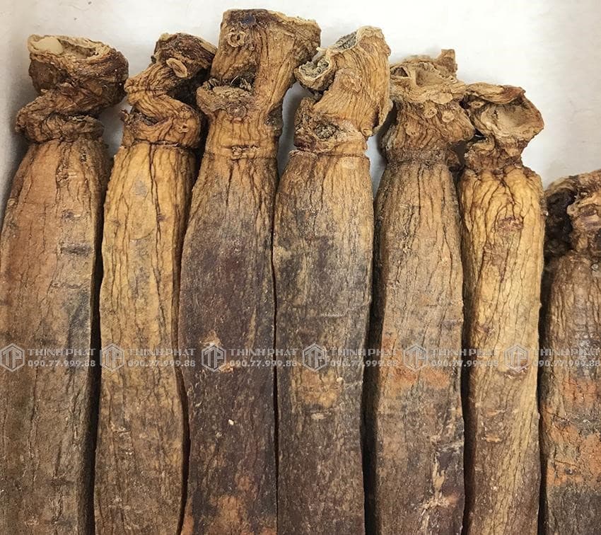 Thiên sâm chính phủ KGC Jung Kwan Jang thượng hạng Heaven 150g 20PCS 7 củ Thiên sâm chính phủ KGC Jung Kwan Jang thượng hạng Heaven 150g 20PCS 7 củ